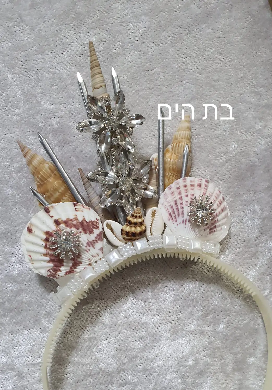 צדפים בצורות שונות – תמונה 2